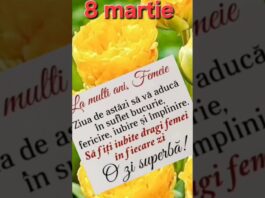 8 Martie – Ziua Internațională a Femeii