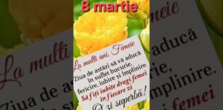 8 Martie – Ziua Internațională a Femeii