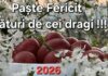 Paște fericit!